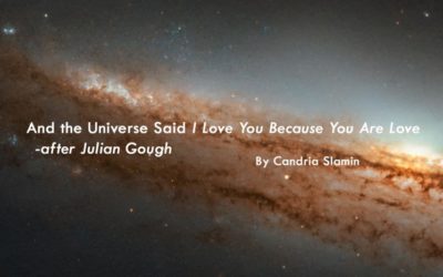 And the Universe Said I Love You Because You Are Love  – after Julian Gough