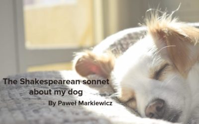 The Shakespearean sonnet about my dog