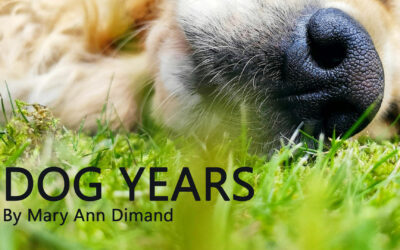 DOG YEARS